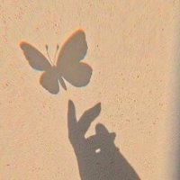 butterfly(@butterfly4289) 's Twitter Profile Photo