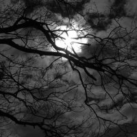 مـــــروان بن حـــــمد (@arabic1897) Twitter profile photo