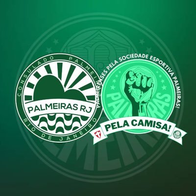 Perfil oficial da torcida carioca que canta e vibra.  A mais vibrante #PalmeirasRJ 🇳🇬