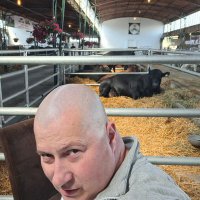 Dr.Nandor Nagy (@drnandornagy) 's Twitter Profile