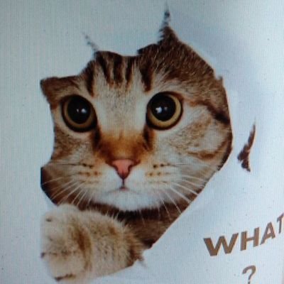 Quark_156's profile picture. Adult male