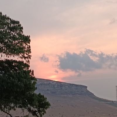 Steakfou's profile picture. Miroir sans tain