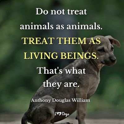 A volunteer passionate about pets and on a mission 🐶 to help homeless pets .Together we can be the voice of animals .
ACCOUNT NUMBER:9030023680652 for donation