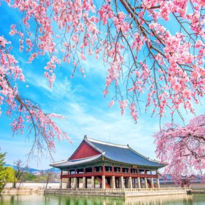 delphma's profile picture. 