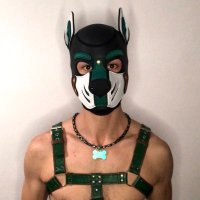 Pup_tusk (@pup_tusk) 's Twitter Profile Photo Pup_tusk (@pup_tusk) 's Twitter Profile Photo