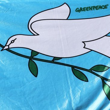 Greenpeace Poitiers est l'un des 26 groupes locaux de Greenpeace France. Tous bénévoles, notre mission est de sensibiliser le grand public
