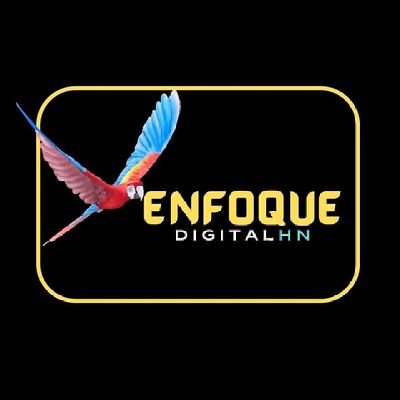 Diario digital enfocado en llevarte las noticias más destacadas nacionales e internacionales, deportes, entrenamiento y más. 
📧Enfoquedigitalhonduras@gmail.com