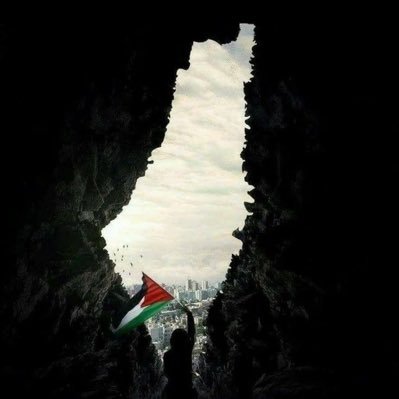 ولكنها القلوبُ يا عليّ، إذا صفتْ رأت | ابن الامة | فلسطين قضيتي🇵🇸