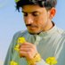 zia (@ziabugti12) Twitter profile photo zia (@ziabugti12) Twitter profile photo