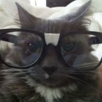 ezra zielony ★ (@zielonekoty) 's Twitter Profile