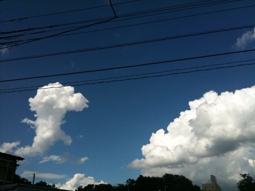 piro1half's profile picture. 埼玉県在住のピロです＾＾
子育てと小遣い稼ぎに興味がある３０代後半のおやじです。
宜しくお願いします！