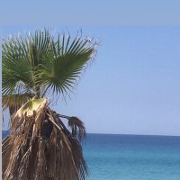 zuhal (@zuhalzzuhall) Twitter profile photo