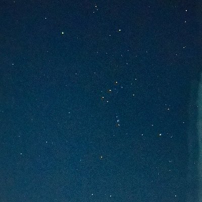 sockebb's profile picture. 💚🐝🌙 🐾 
🟡⚫ #bvb
#visionzero