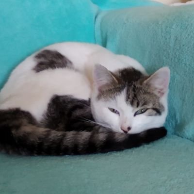 alida_zanon's profile picture. venezia,Italy