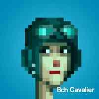 bchbcavalier's profile picture. Defi advocate, pushing for a democratized financial system