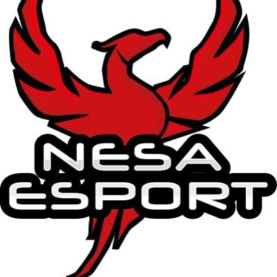 🔴Compte officiel de la NeSa Esport ⚪️ 🇫🇷 Association Esport basée à @Chateauroux36 🇫🇷 📝Sponsor: ABGS et Vibes Hosting 📝Partenaire: @fragcase /