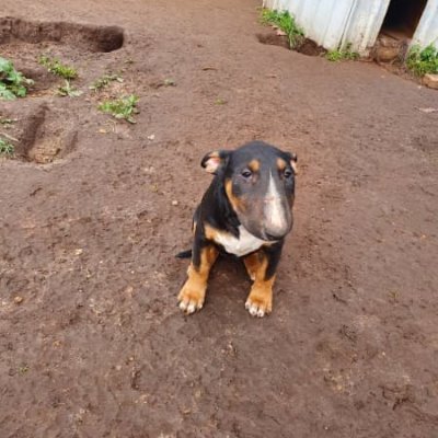 derniax's profile picture. 