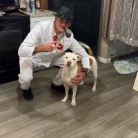 Tristan Dobson (@tristan_dobson) 's Twitter Profile