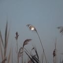 Agnes Glennon - @AgnesGlenn75570 - Twitter