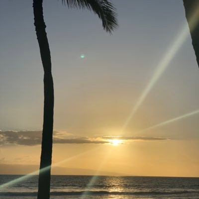 FreelyScotty's profile picture. Commercial Real Estate 20+ years | Call out the BS on both sides | Chainlink is so obvious $LINK