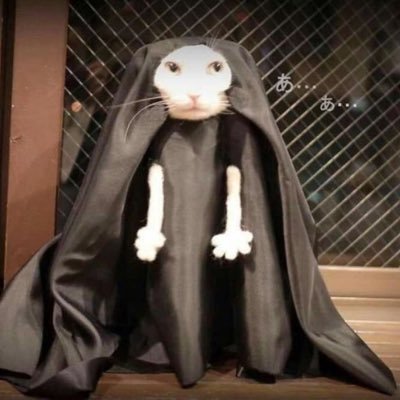 etozhefrank's profile picture. Backend developer