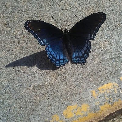 RAlzbydy48251's profile picture. 