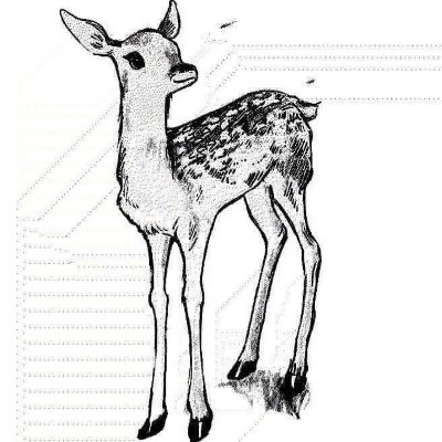 K/B Profile