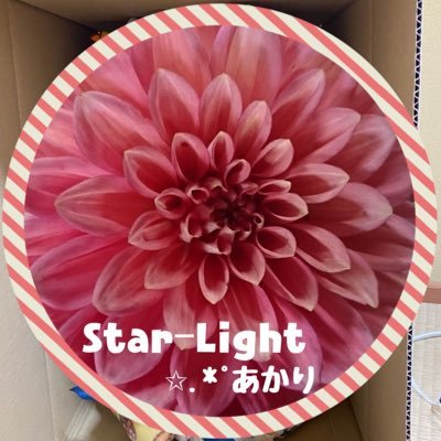 Star-Light ⭐️あかり