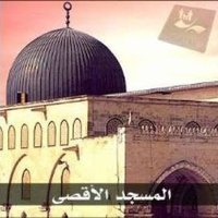 Essam alalfy (@essam_alal45263) Twitter profile photo