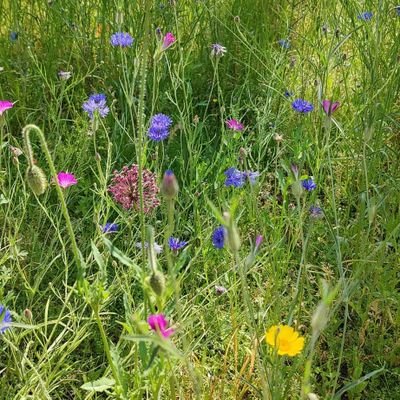 debbiezoutendyk's profile picture. 