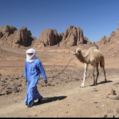 HXHTW's profile picture. 