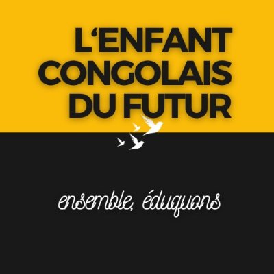 L'ENFANT CONGOLAIS DU FUTUR (2017 - 2037 - 2057), 
... éduquons-la, éduquons-le ensemble !

■ ECF Village
Ensemble pour des Communautés Fortes (ECF)