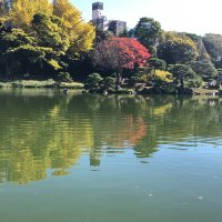 Hanachan-san (@hanahutasyu) 's Twitter Profile Photo Hanachan-san (@hanahutasyu) 's Twitter Profile Photo