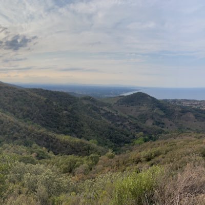 JonathanL91652's profile picture. 