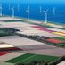 Prachtig Flevoland (@prachtigf) Twitter profile photo Prachtig Flevoland (@prachtigf) Twitter profile photo