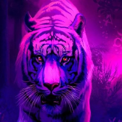 You can call me Damian or Purple I am 24 and a twitch streamer I play all kinds of games and like to have fun. #TigerzFam