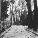 Lacey Eden - @EdenLacey62737 - Twitter