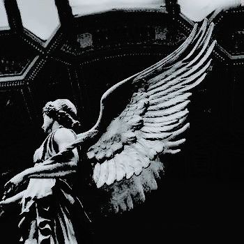 auvwehr's profile picture. 