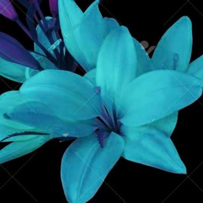 Kasuga2_18's profile picture. 神宮寺くんと神宮寺くんが大切にする世界を自分のペースで楽しく応援したい💙
平和にNumber_i、神宮寺くんを応援している方であれば無言フォローです🆗
宜しくです🩵