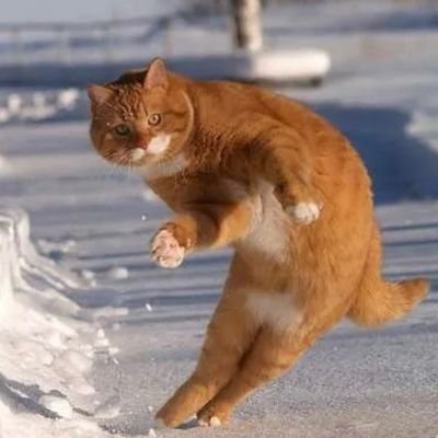 Promzzy909's profile picture. 