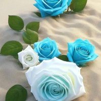 かかし🩵💙 (@reisho0419) 's Twitter Profile Photo