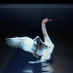 Ryhen CASTILLO (@castillory72599) Twitter profile photo Ryhen CASTILLO (@castillory72599) Twitter profile photo
