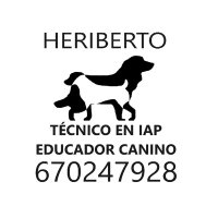 Heriberto Educador Canino(@HeriEduCanino) 's Twitter Profile Photo