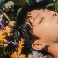 ❦ (@filesjk) 's Twitter Profile