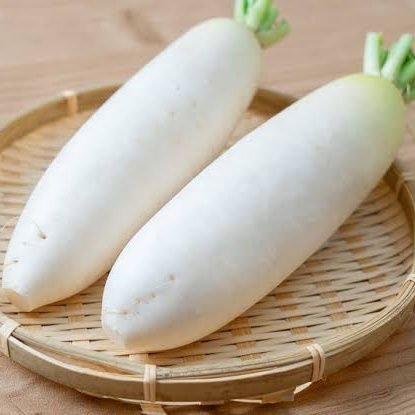 人参さんのプロフィール画像