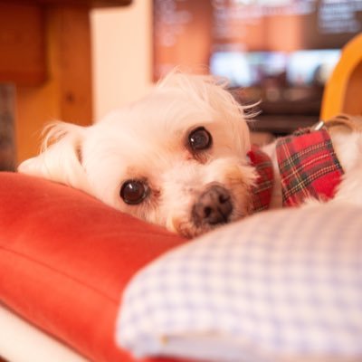 kaepon1013's profile picture. 