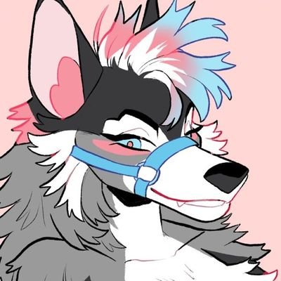 ✨ I'm 27. Husky girl! 🐕 Sometimes a puppy 💕 Bisexual 🙌  Vegan fur 🌱 I do art ✍️ I'm a @madefuryou fursuiter 🥰