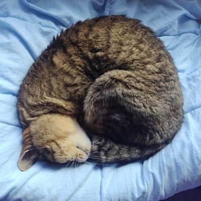 ironmask0123's profile picture. 平日サバゲ、キャンプ、ドライブどれかしてます。
すいませんお会いした人に無言フォローしちゃってます_(._.)_
・サバゲ・キャンプ・ガンダム・アニメ(ガンダムはアニメじゃない)・猫・ロードスター→マツダ3XMTAWDに乗り換えた。

#双極性障害 治療中