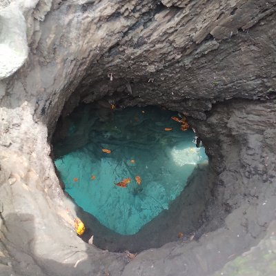 ATLdana's profile picture. Nature lover