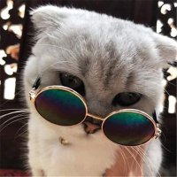 خوخ🧘 (@kholoud0mamdouh) 's Twitter Profile